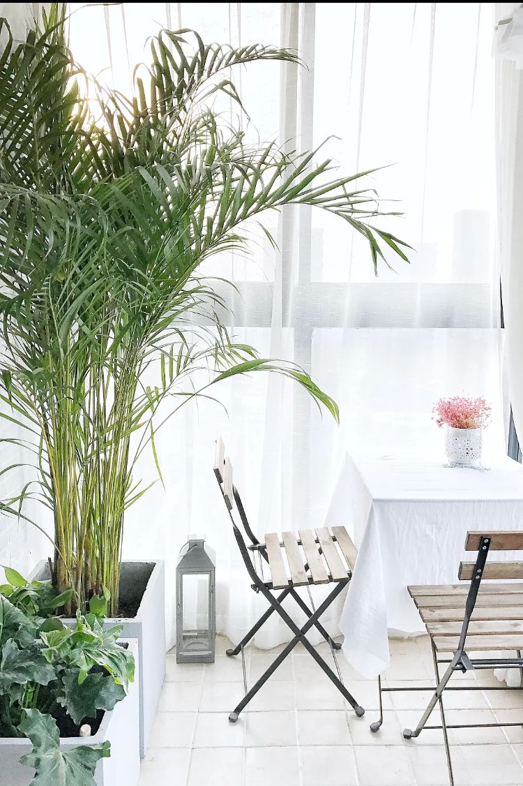 哈爾濱花園小學校區(qū)房怎么劃分 哈爾濱花園小學校區(qū)房怎么劃分